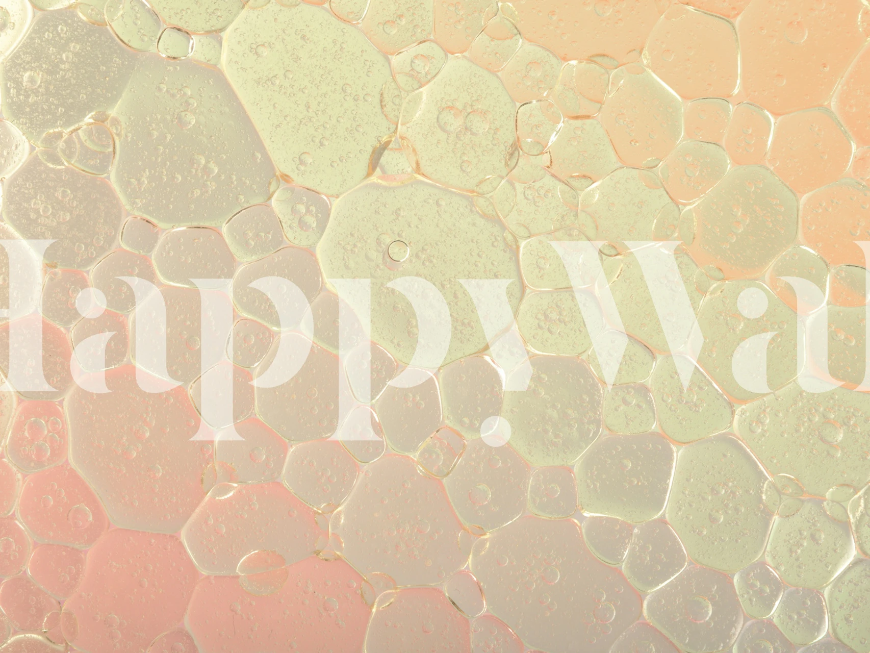 Design della carta da parati Bubble Fiesta in una stanza