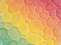 Bubble Kaleidoscope tapete