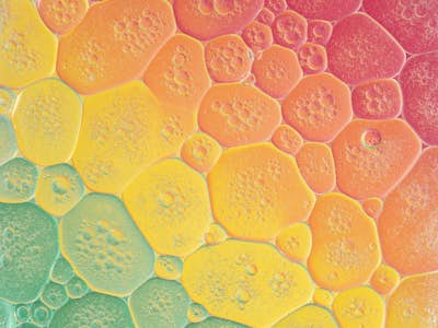 Τοιχογραφία