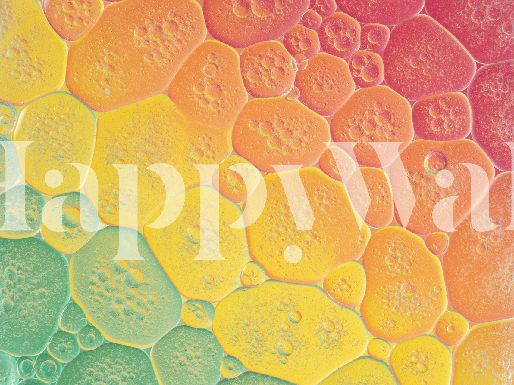Colorful bubbles in shades of pink, yellow, and green wallpaper