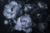 Dark Moody Floral Baroque Midnight Blue papel pintado