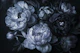 Dark Moody Floral Baroque Midnight Blue