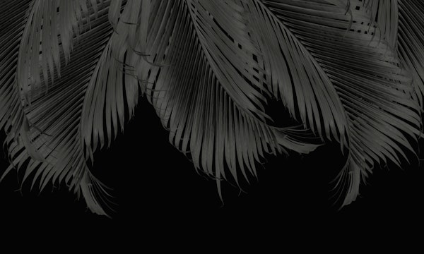 Palm Leaves Finesse 6
