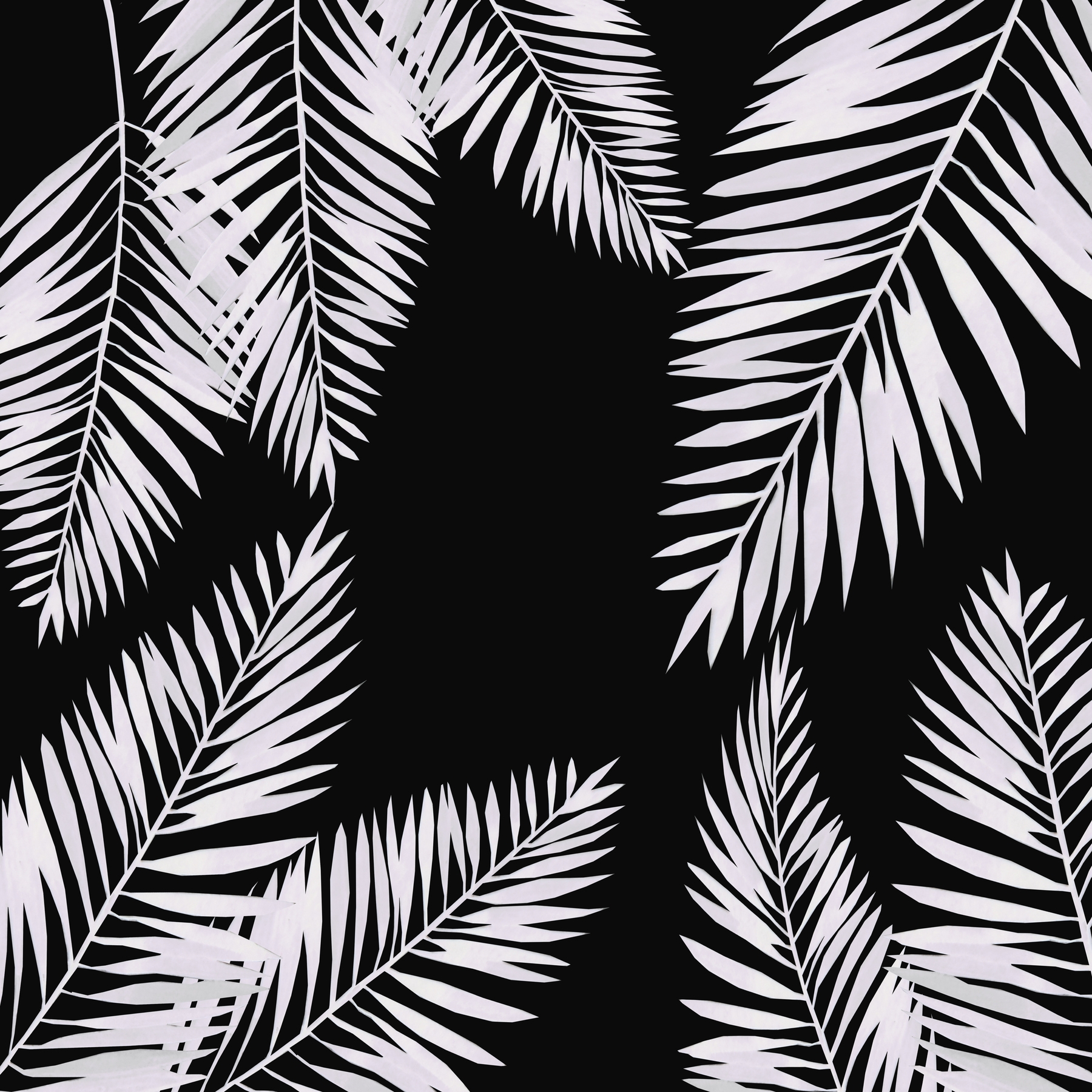 Buy Tropical Leaves Black wall mural Free US shipping at
