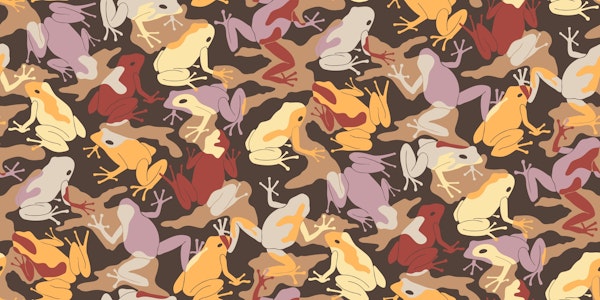 Frog camouflage warm earth tones