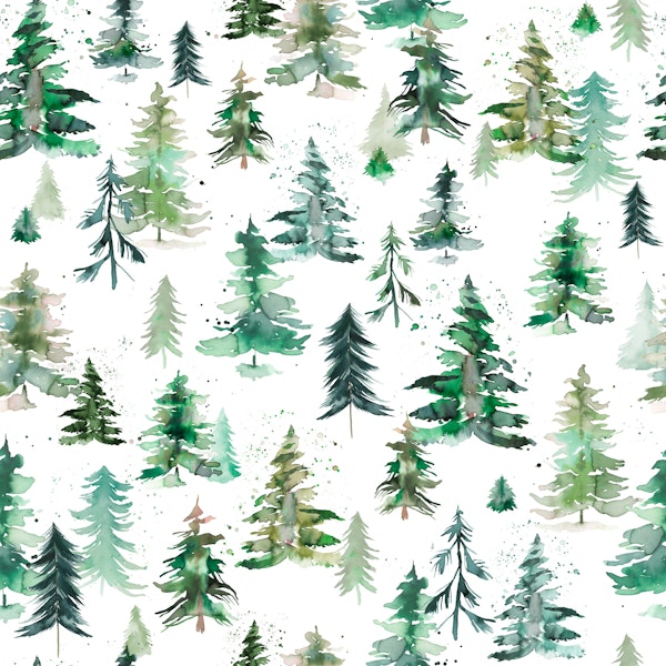 Forest Trees Mountains