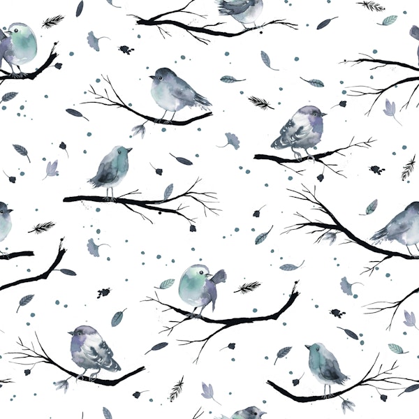 Winter Birds Branches Trees