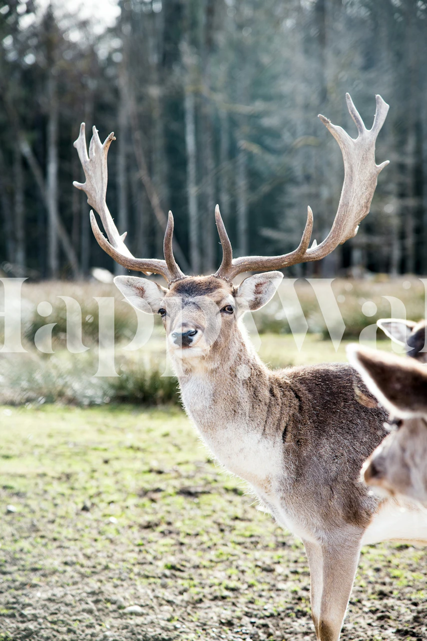 En edel hjort som står i en skoglysning og fremkaller en følelse av ro og natur i et veggmaleri.