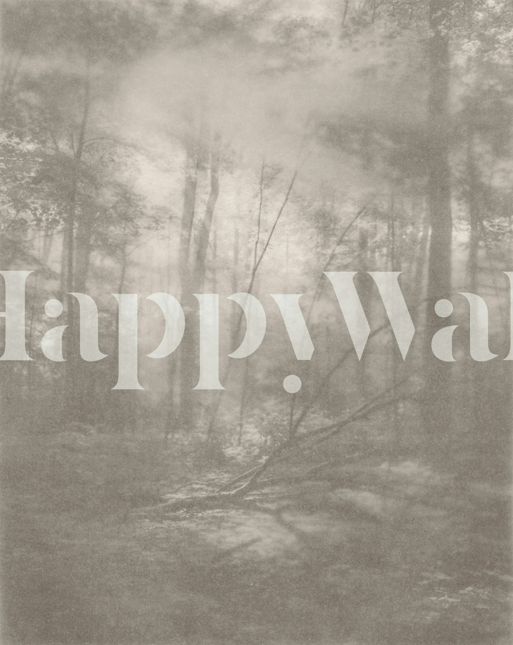 Foggy forest scene with muted tones and sparse trees wallpaper