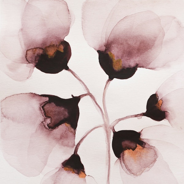 Flowers in Dusty Pink