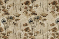 Muted Autumn Dry Flowers wallpaper