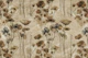 Muted Autumn Dry Flowers