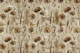 Muted Neutral Dry Flowers
