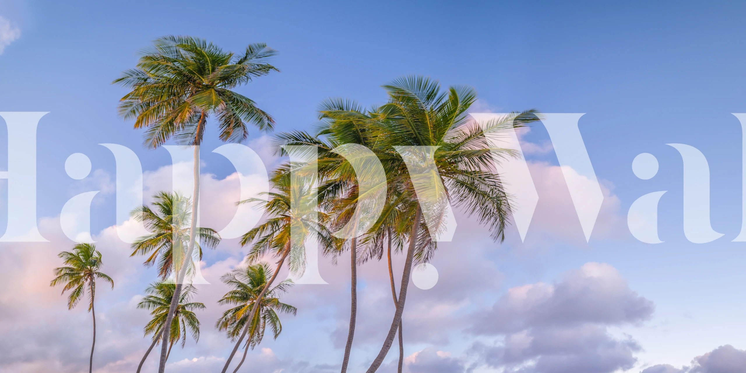 Tropical palm trees against a pastel sky. Relaxing wallpaper
