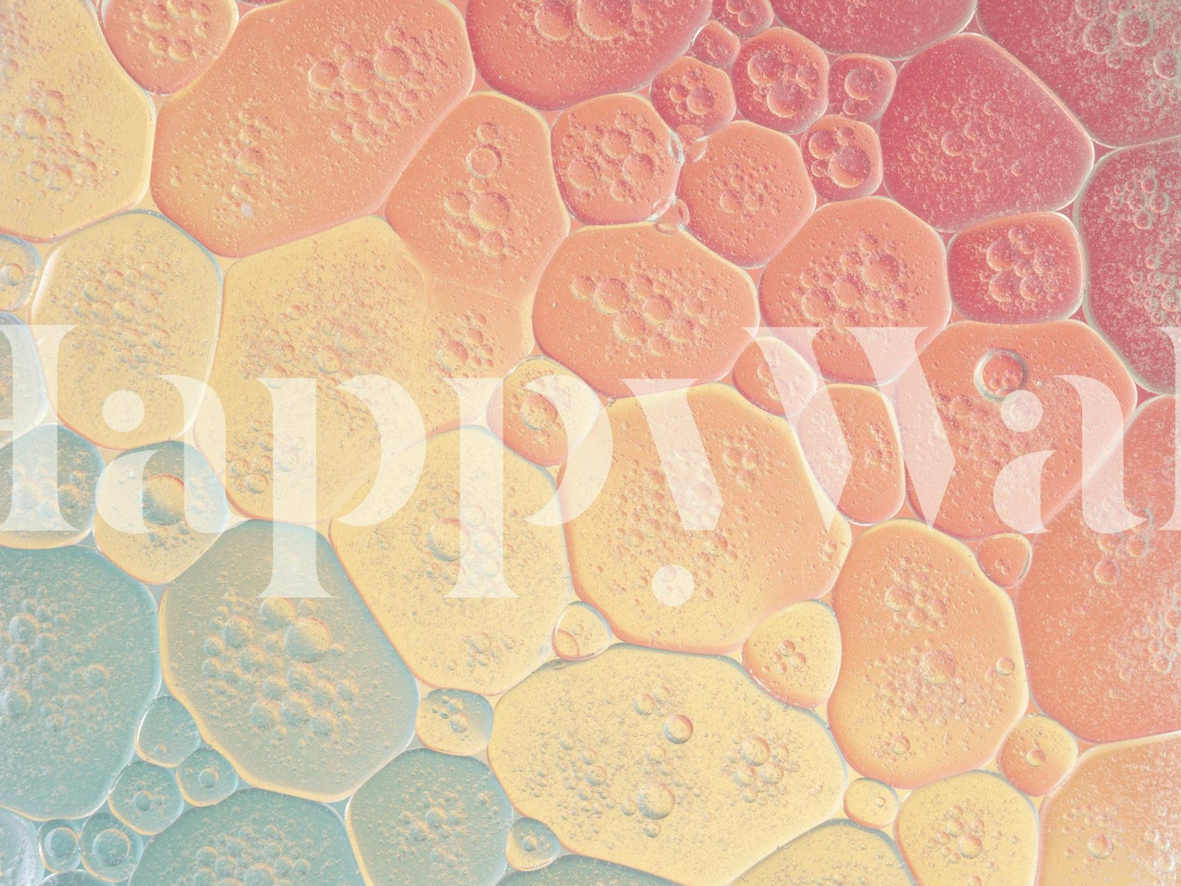 A wall mural with a pattern of pastel-colored bubbles in a spectrum of gentle hues.