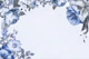Watercolor Whimsy Blossoms Light Blue