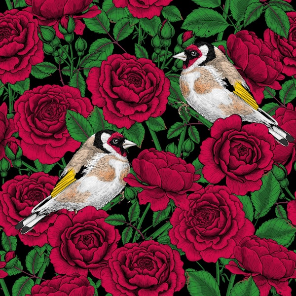 Red Rose flowers and goldfinch birds