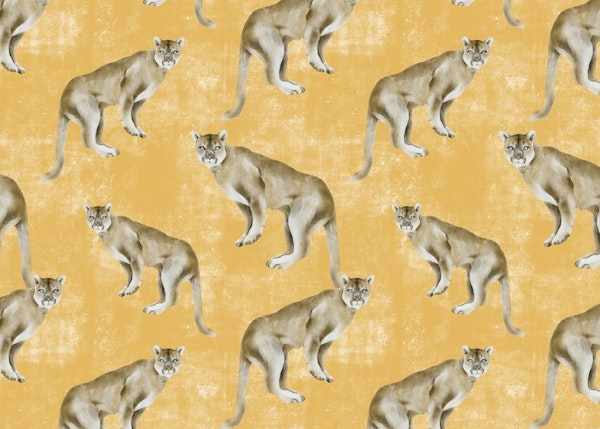 Wild one in the summer noon