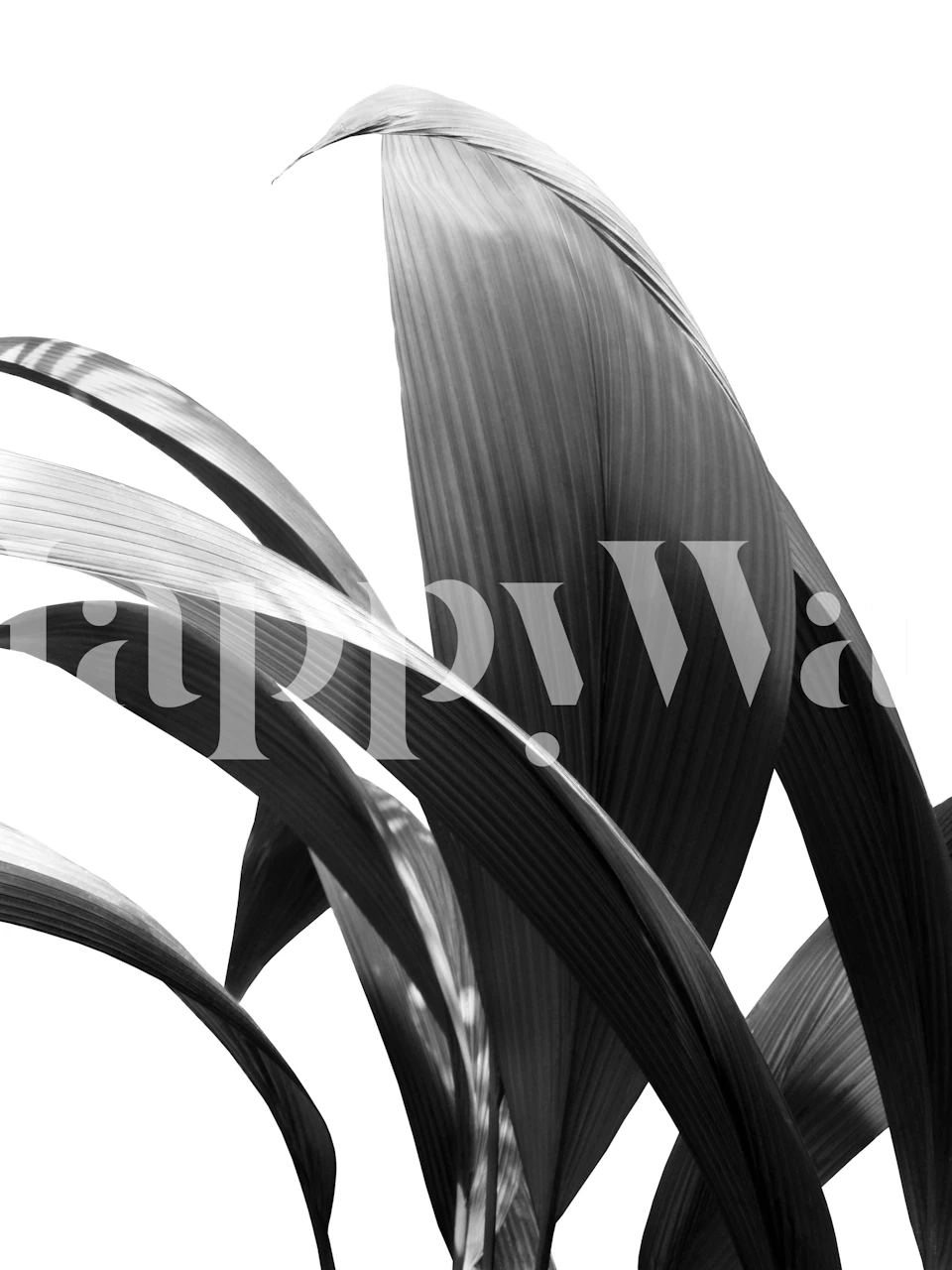 Banana Leaves Jungle Delight tapet vist i et rum