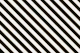 Black and White Luxury Zebra Stripes
