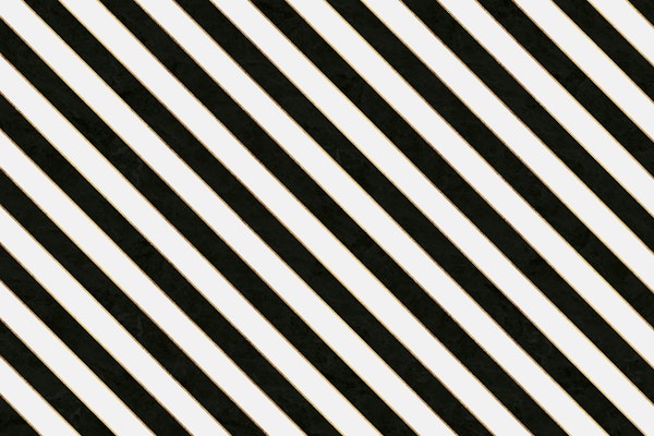 Black and White Luxury Zebra Stripes