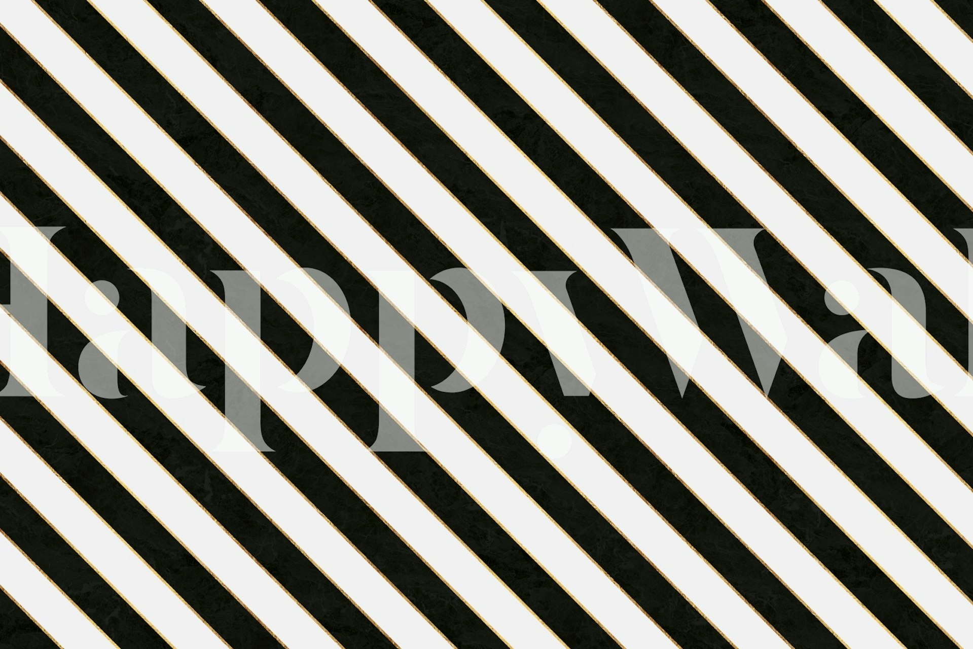 Fototapeta Černá a bílá luxusní Zebra Stripes