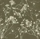 Pastel Japandi Grass