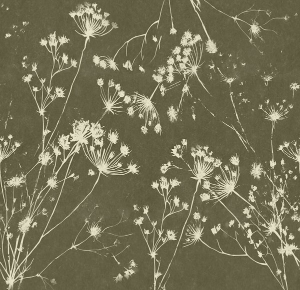 Pastel Japandi Grass