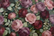 Large Antique Peonies