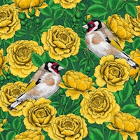 Yellow Rose flowers and goldfinch birds ταπετσαρία
