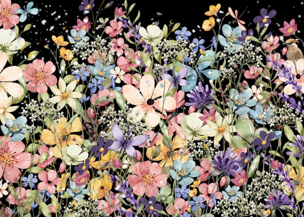 Black back colorful flowers majestic
