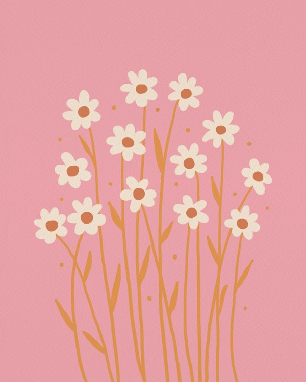 Simple daisies - pink and peach fuzz