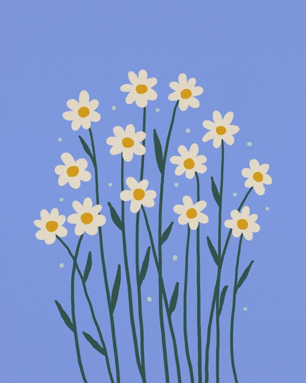 Simple daisies - violet