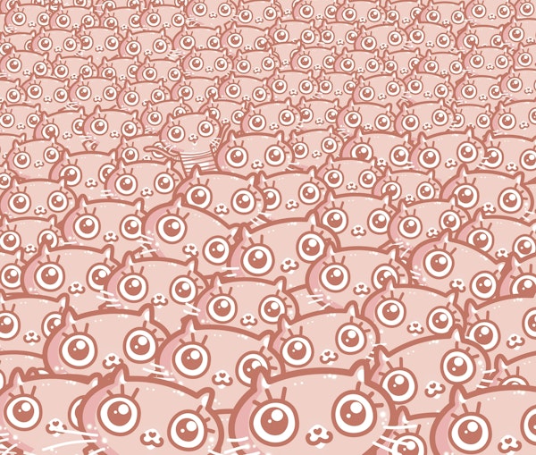 CatGalore milk-cocoa