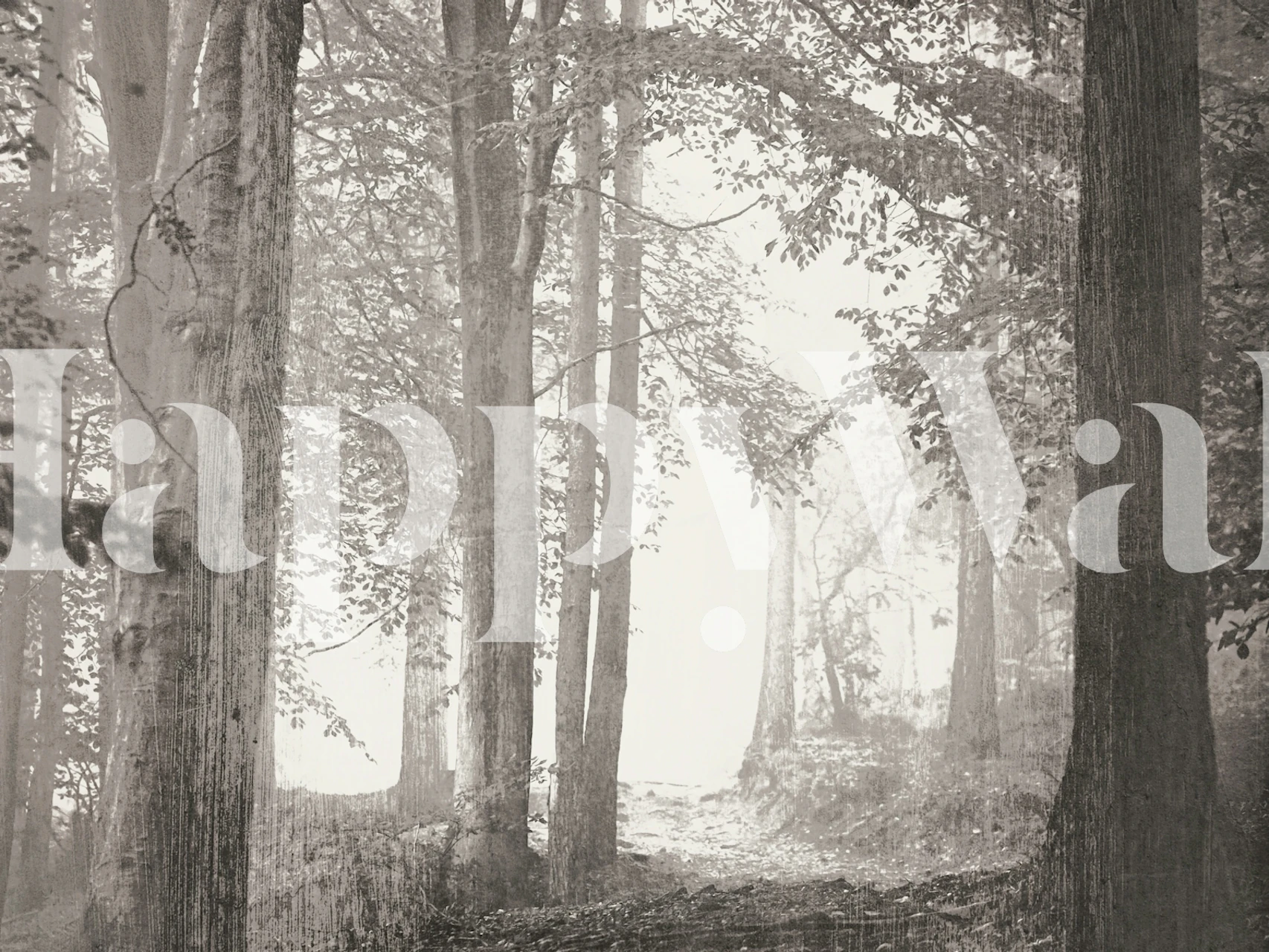 Tapeta z serene Forest Wild Life-sceną.