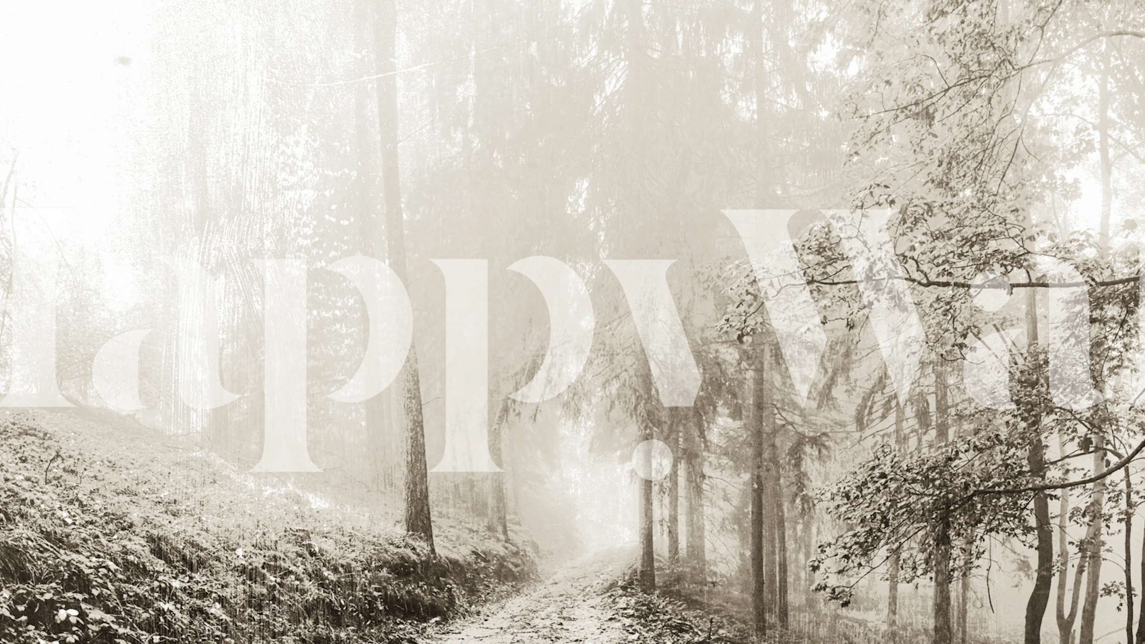 Magical Wild Life Forest tapet i ett rum