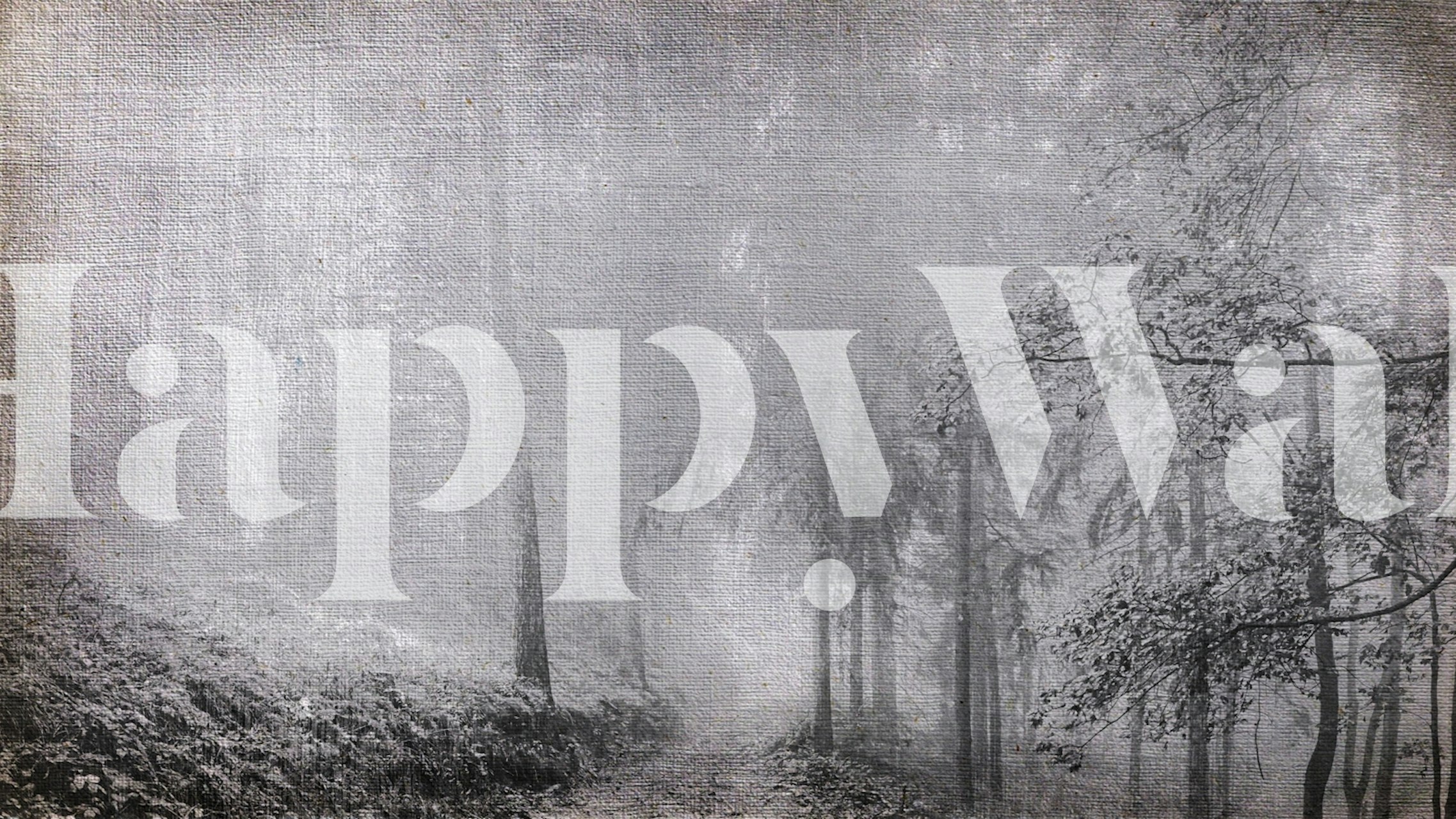 Zobrazení Misty Forest Canvas Grunge