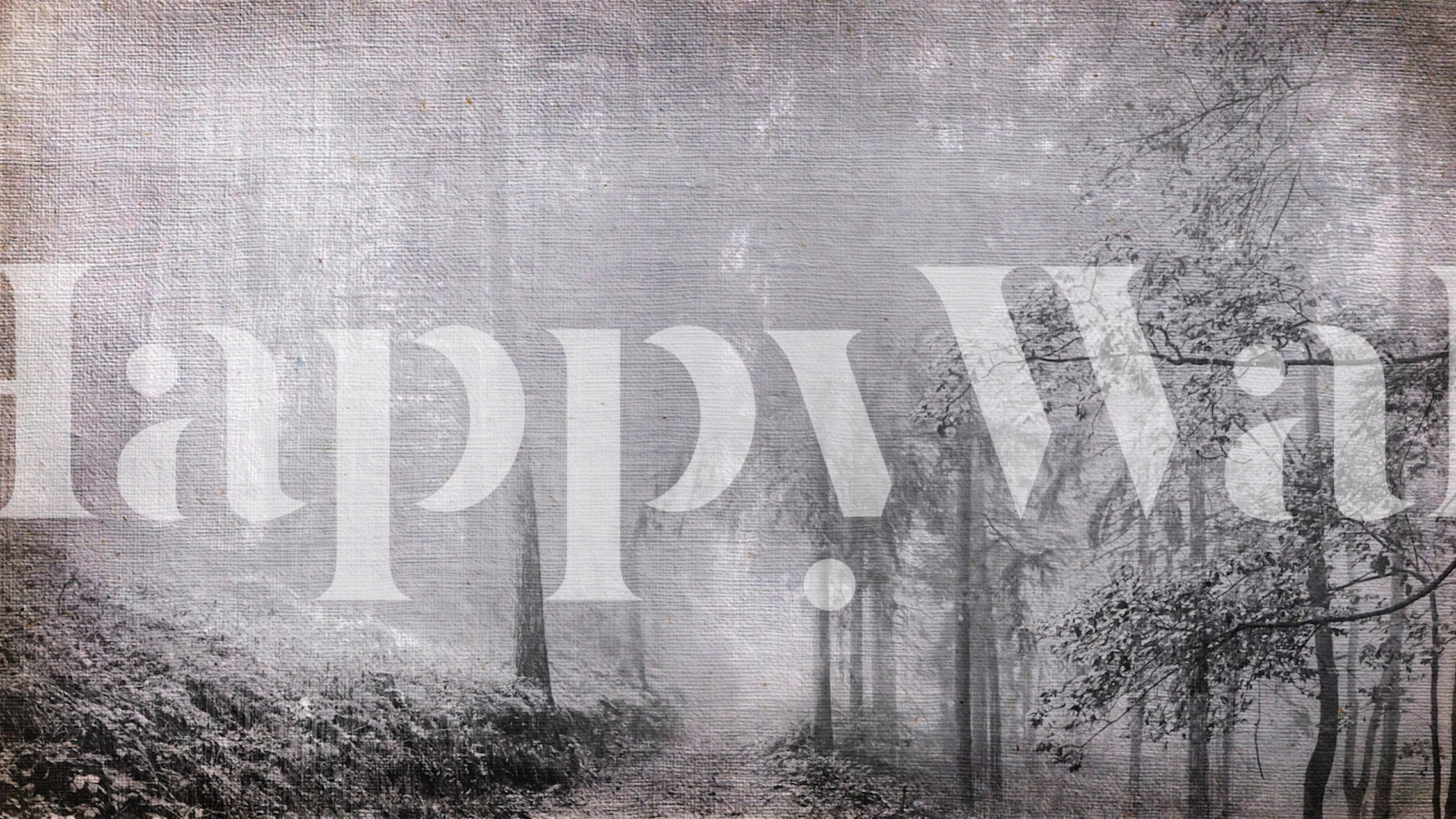 Misty forest wallpaper display