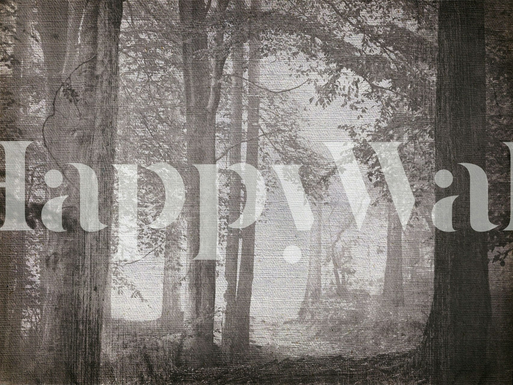 Black and white forest trees in misty background wallpaper