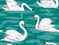 White Swans 2 papiers peint