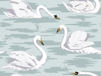 White Swans 5 papiers peint