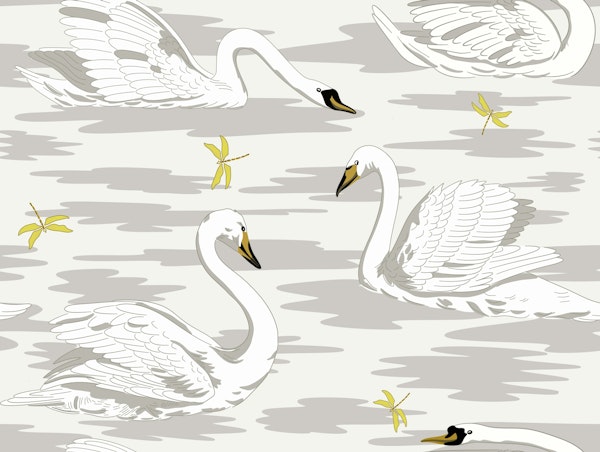 White Swans 6