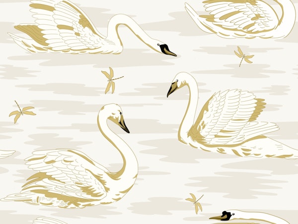 White Swans 7