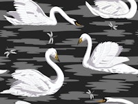 White Swans 9 papiers peint