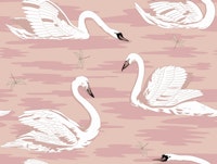 White Swans 11 papiers peint