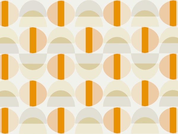 Sunny Mid Century Modern