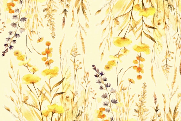 Sunny Spring Wildflowers