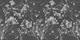 Grey Japandi Leaves