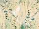 Sunny Summer Meadow