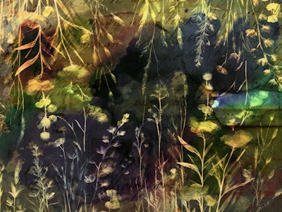 Mural